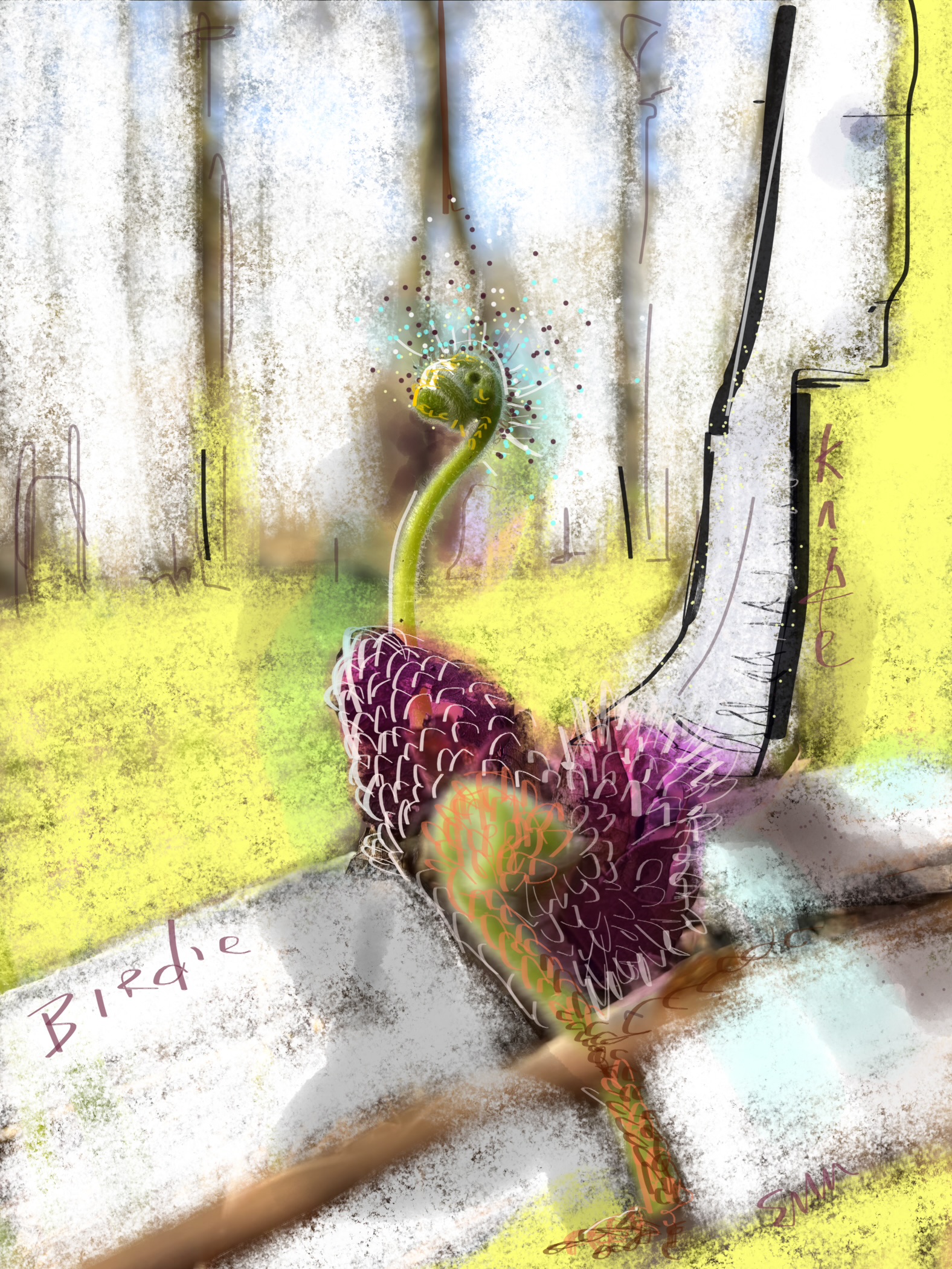 "Bird Knife” Abstract Markup Art by Elizabeth M Matteson