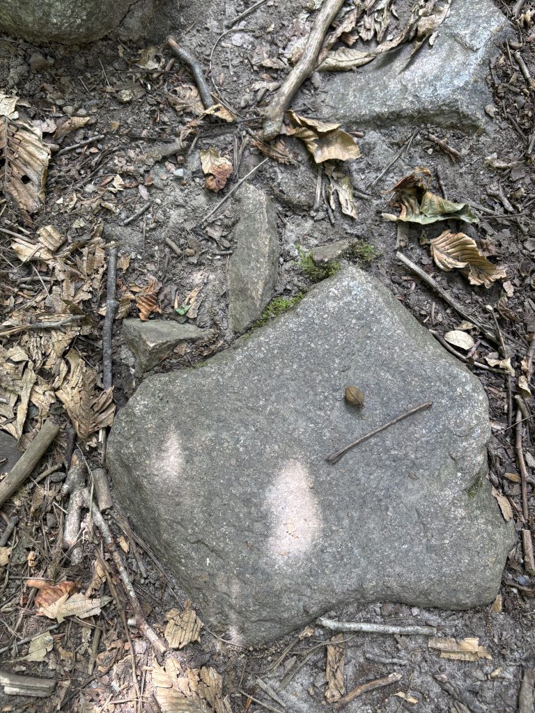 Rock and Stick