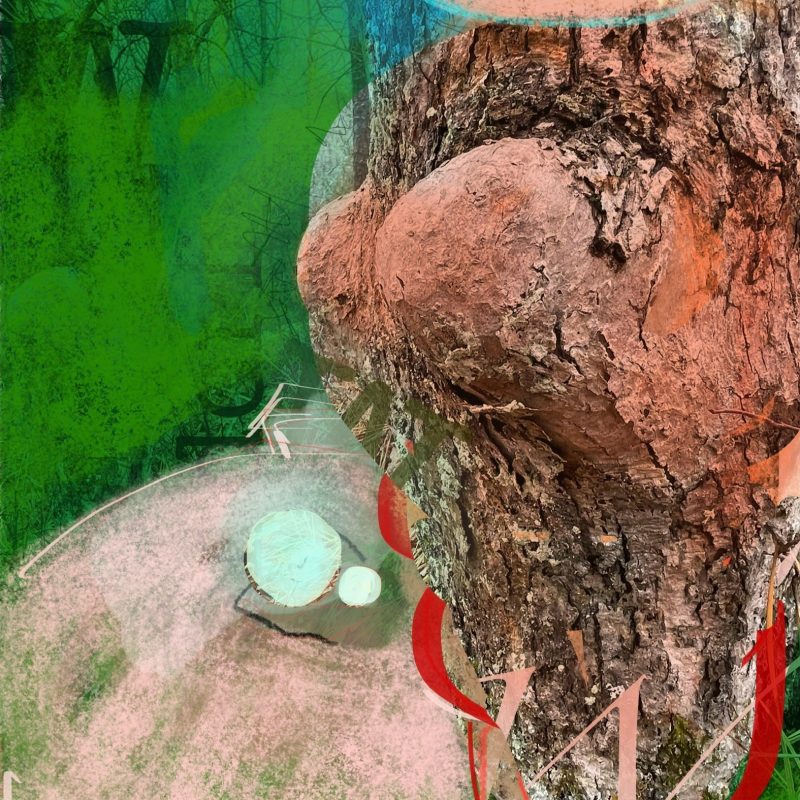 Venus of Willendorf, by Elizabeth Mullen Matteson.