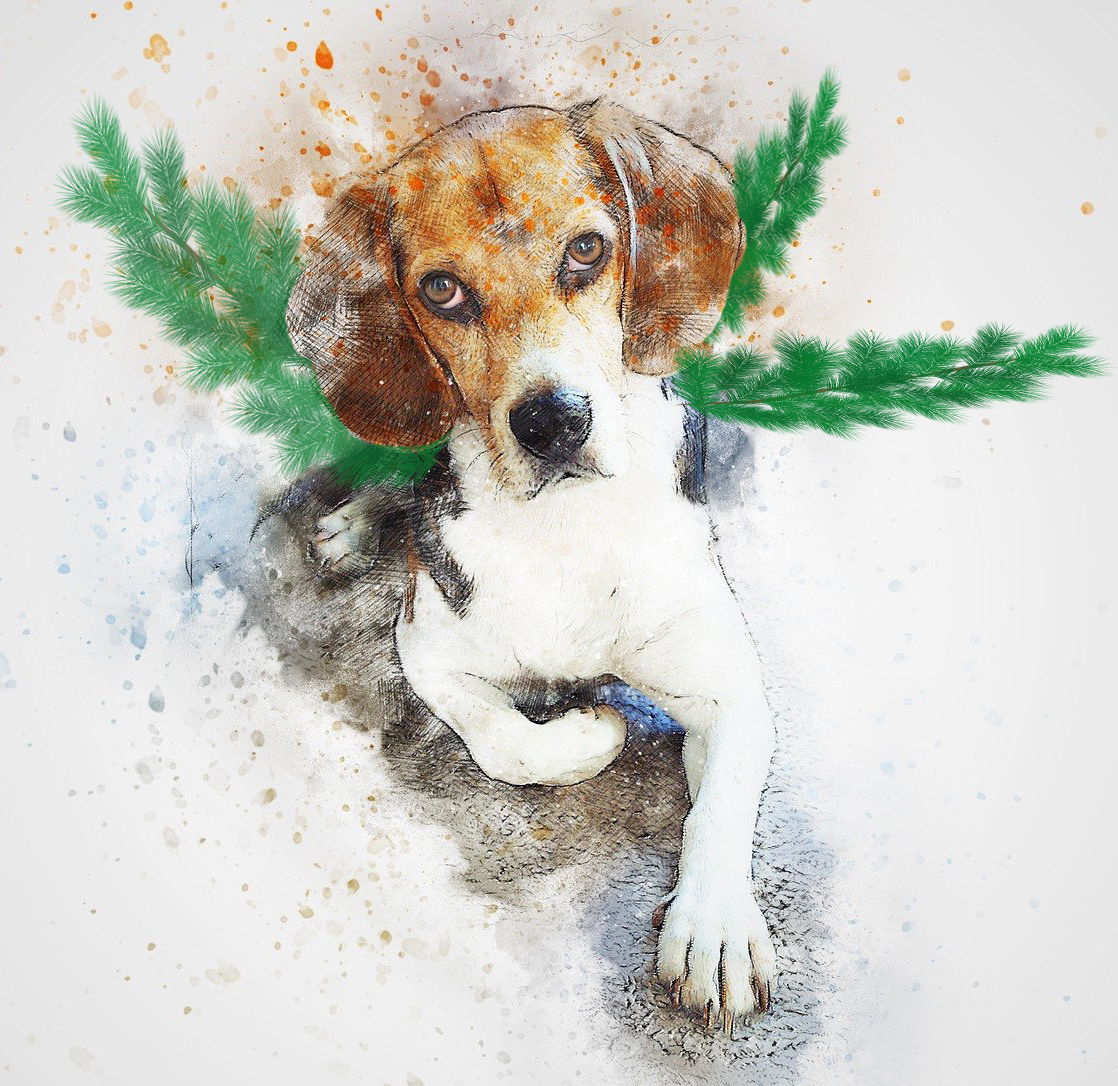 image courtesy of pixabay